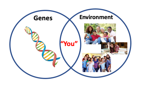 Genes Environment And Youth Development Su 